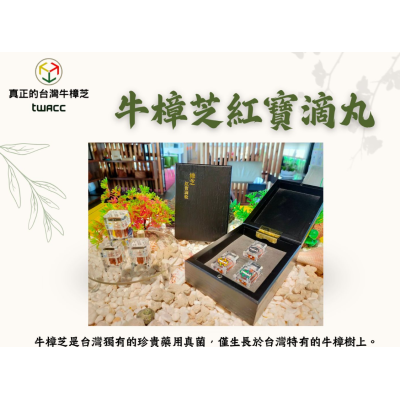 台灣牛樟芝TWAC 台灣牛樟芝TWAC
